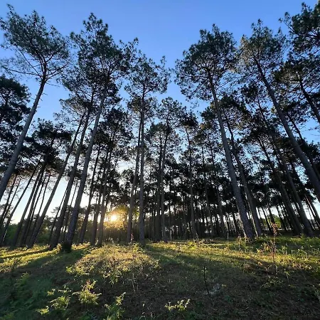 Nyaraló Le Baleste - Duplex Cosy *