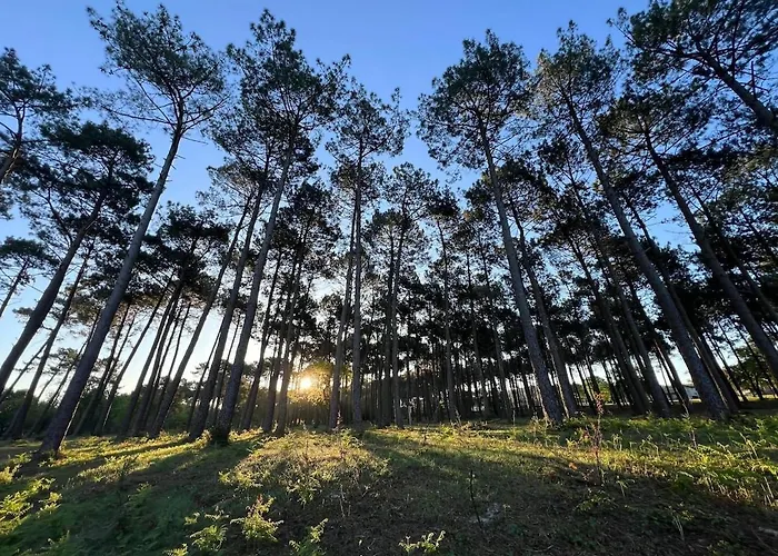 Hébergement de vacances Le Baleste - Duplex Cosy *