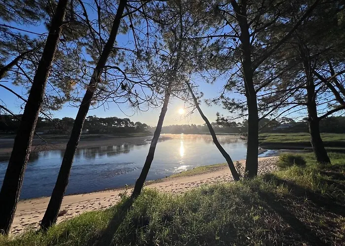Hébergement de vacances Le Baleste - Duplex Cosy Mimizan
